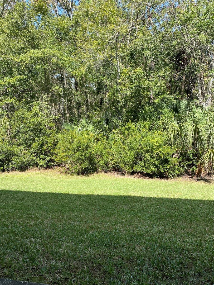 4241 WINDING RIVER WAY, LAND O LAKES, FL, 34639