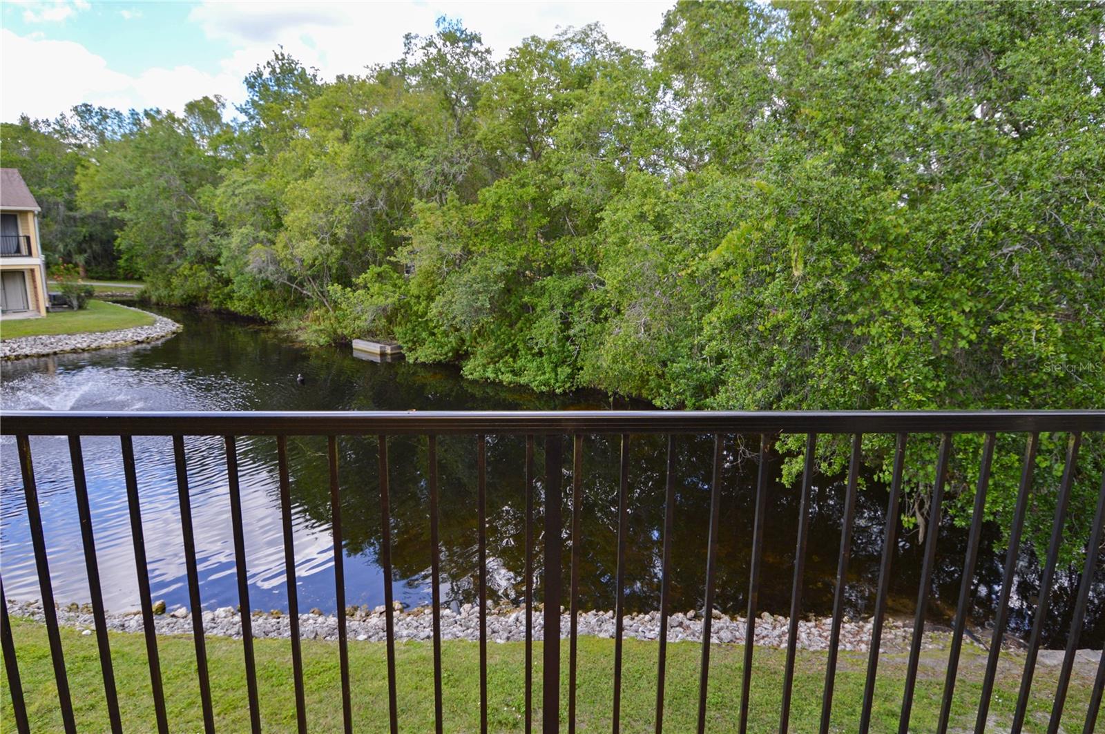 8709 FANCY FINCH DR #204, TAMPA, FL, 33614