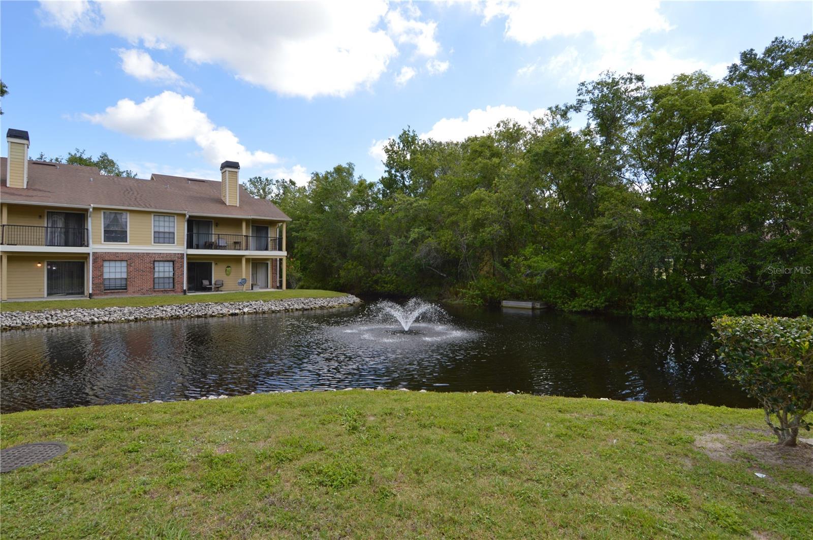 8709 FANCY FINCH DR #204, TAMPA, FL, 33614