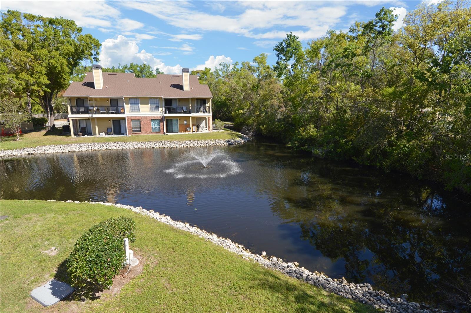 8709 FANCY FINCH DR #204, TAMPA, FL, 33614