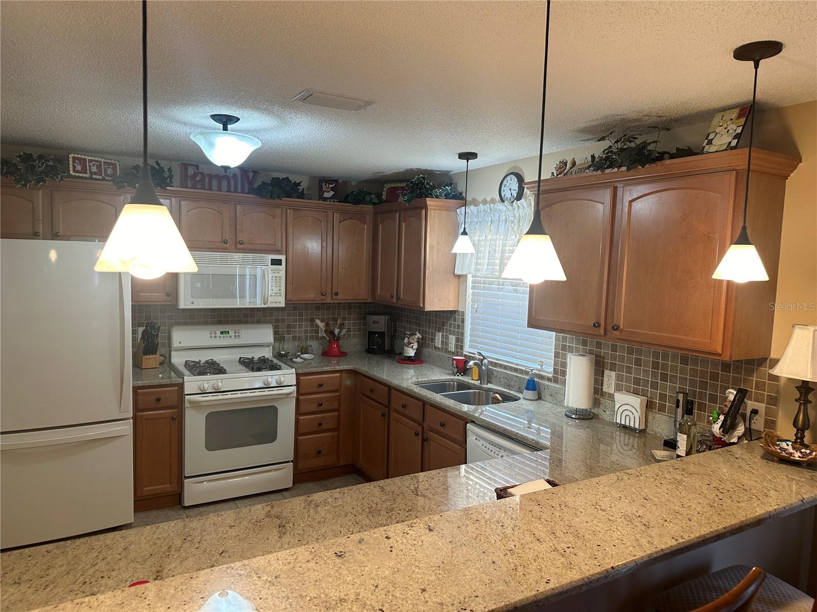 1069 JACKSON ST, THE VILLAGES, FL, 32162