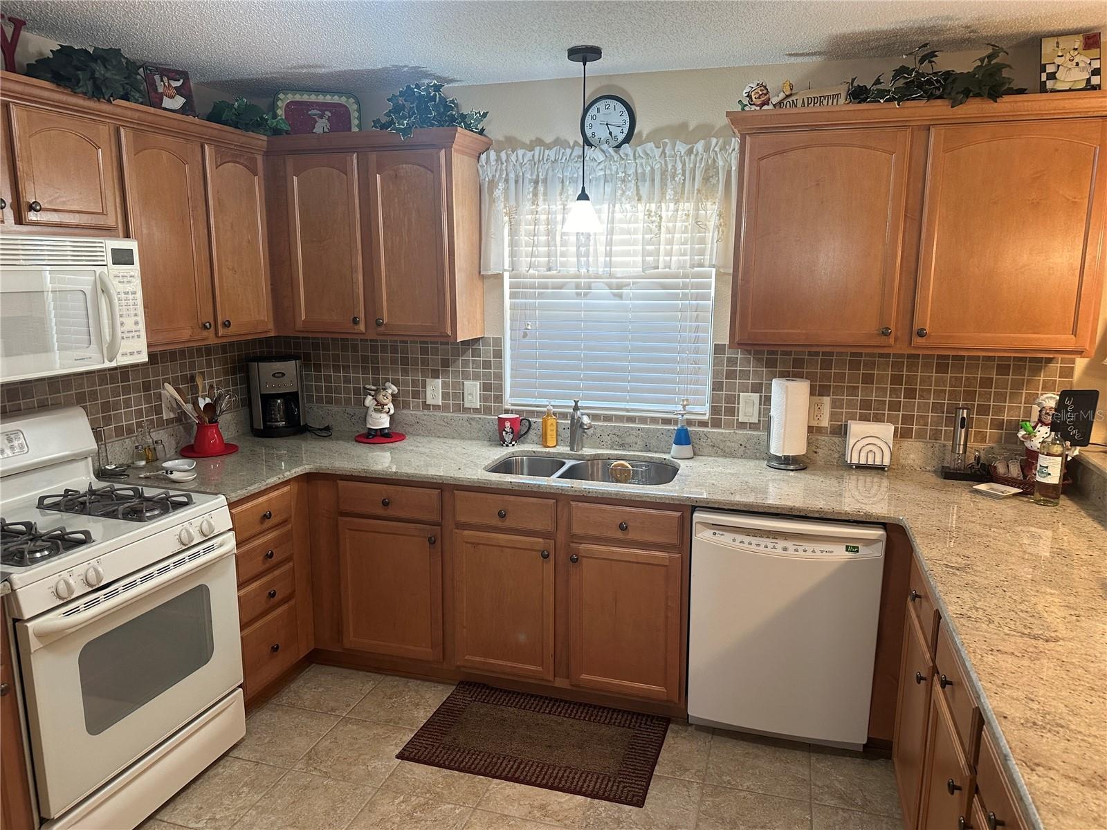 1069 JACKSON ST, THE VILLAGES, FL, 32162
