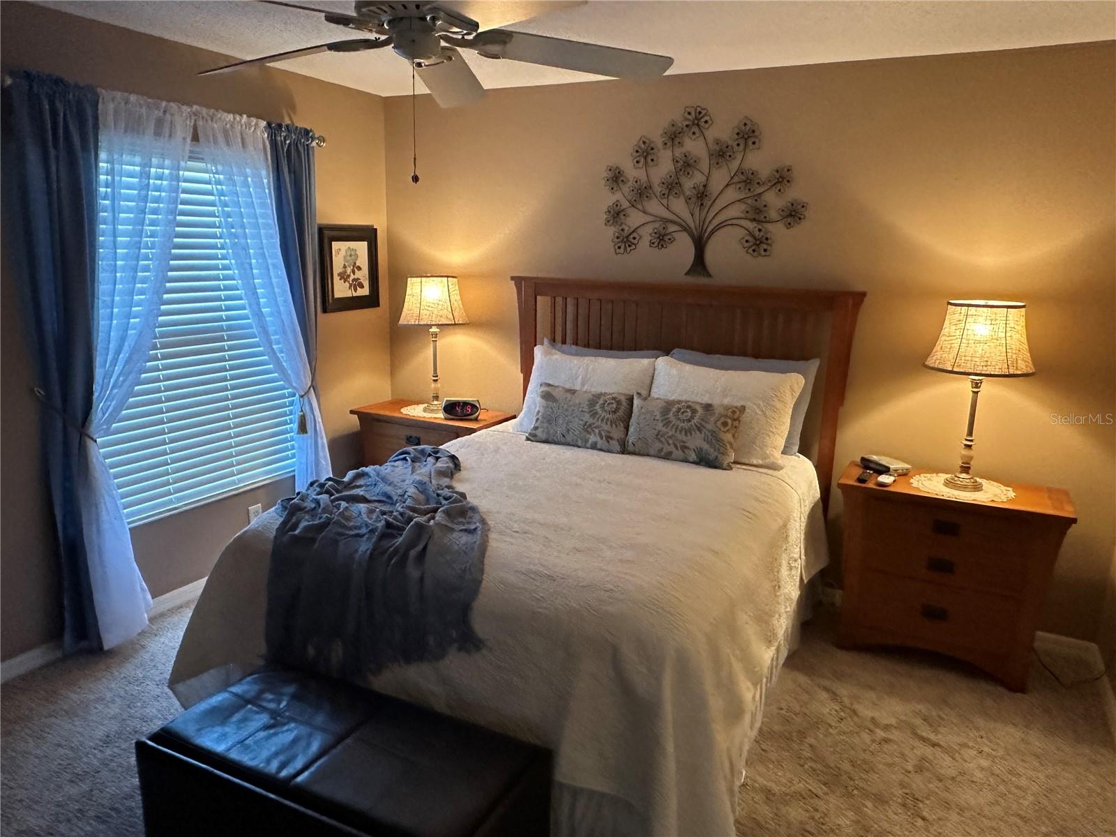 1069 JACKSON ST, THE VILLAGES, FL, 32162