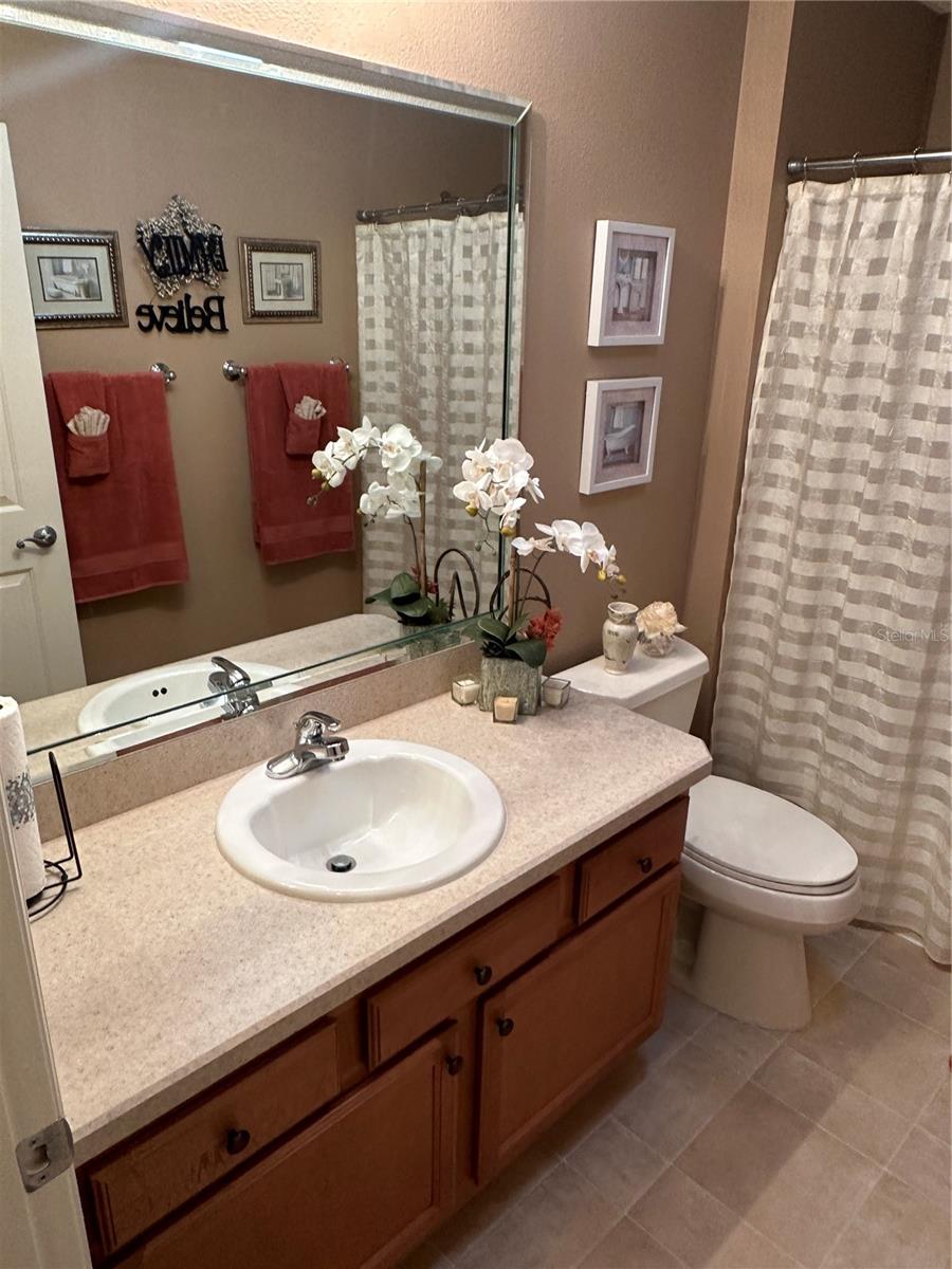 1069 JACKSON ST, THE VILLAGES, FL, 32162