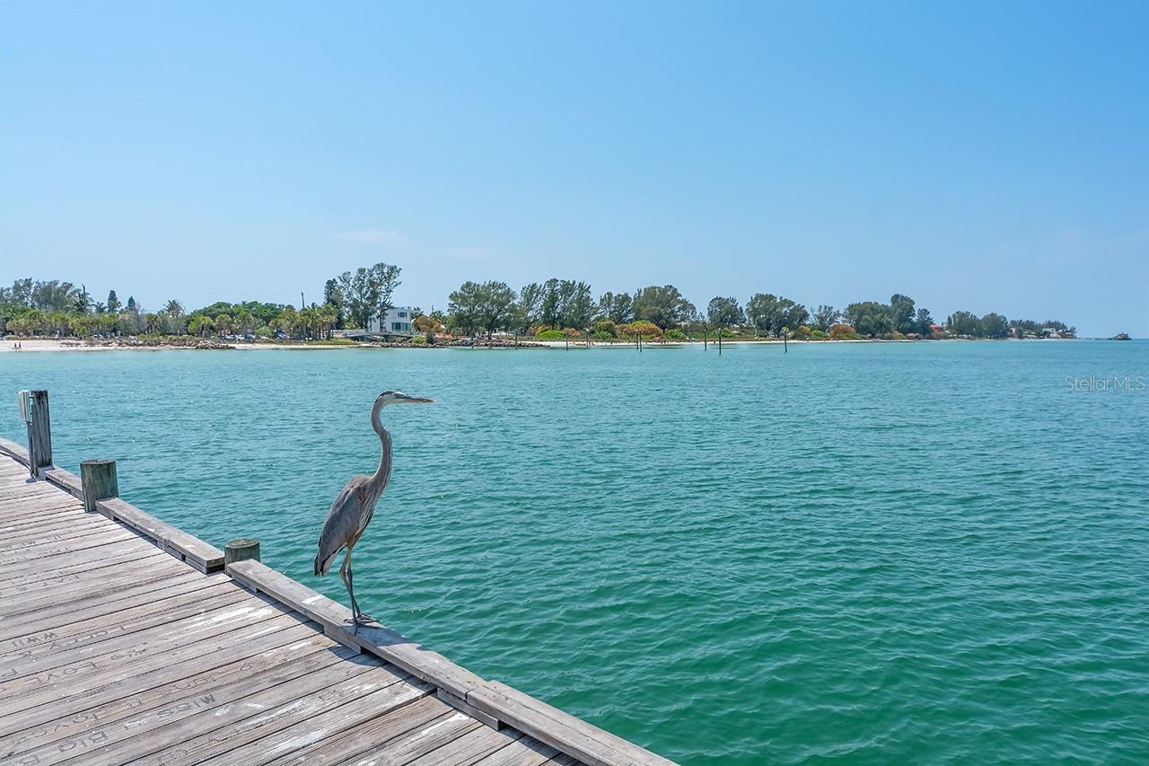 4307 GULF DR #202, HOLMES BEACH, FL, 34217