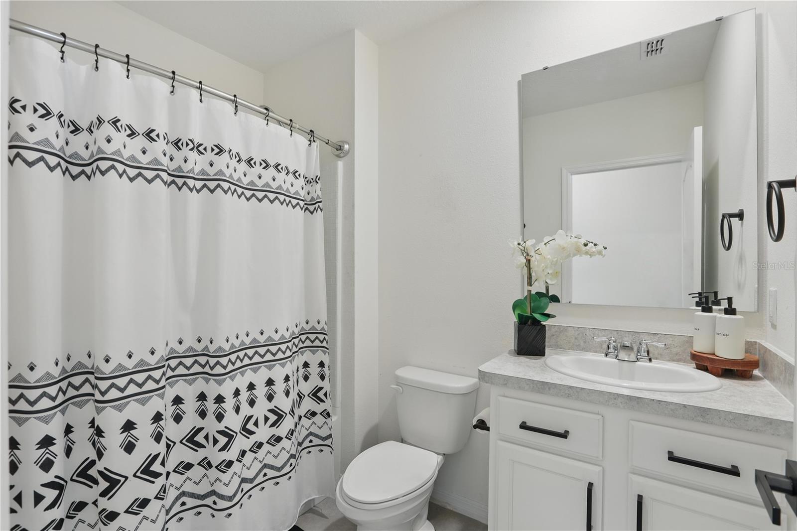 2839 COMMON CRANE CT, HARMONY, FL, 34773