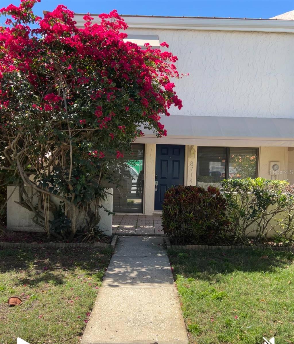 8714 COVE CT, TAMPA, FL, 33615
