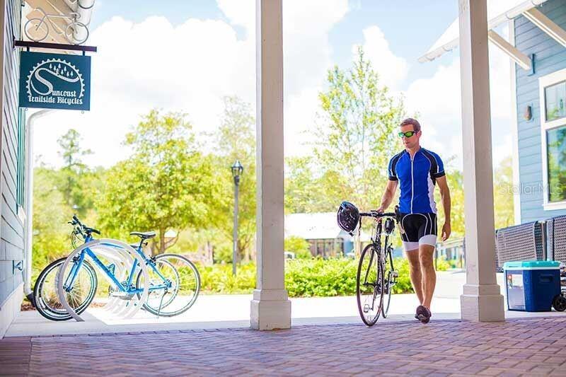 17386 CRUISER BND, LAND O LAKES, FL, 34638