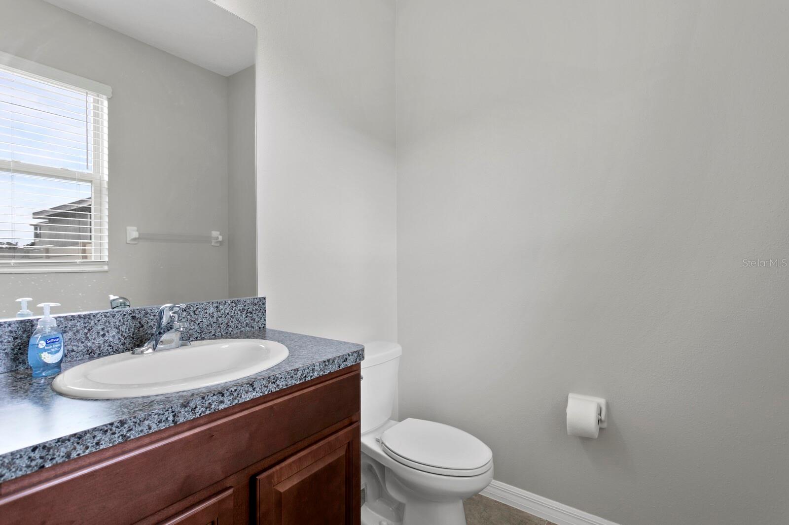 17386 CRUISER BND, LAND O LAKES, FL, 34638