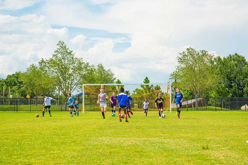 17386 CRUISER BND, LAND O LAKES, FL, 34638