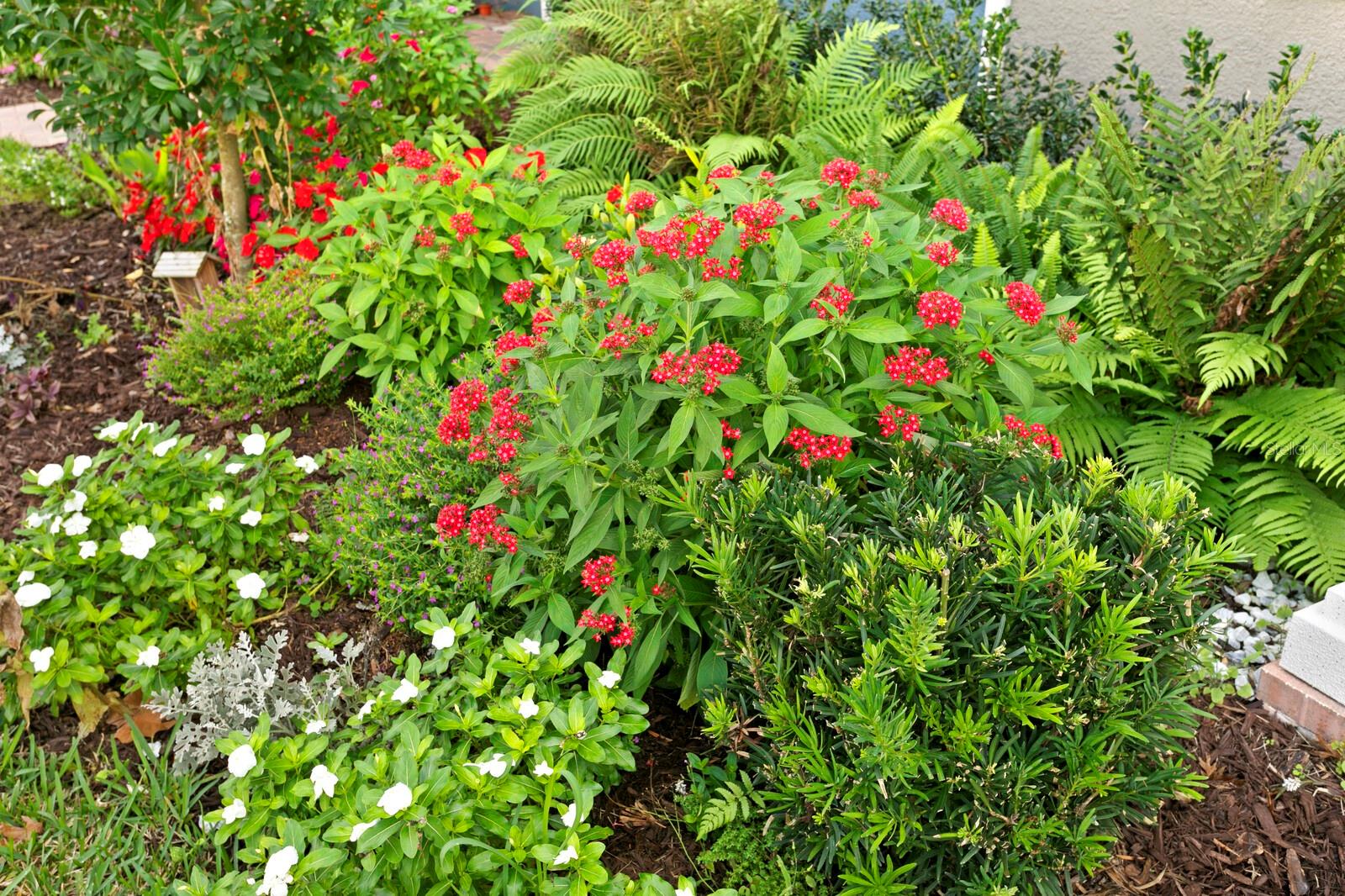 17386 CRUISER BND, LAND O LAKES, FL, 34638