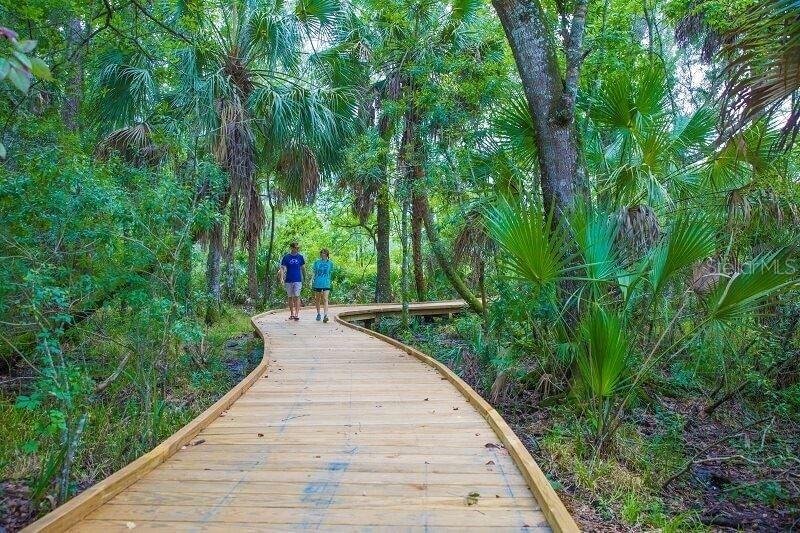 17386 CRUISER BND, LAND O LAKES, FL, 34638