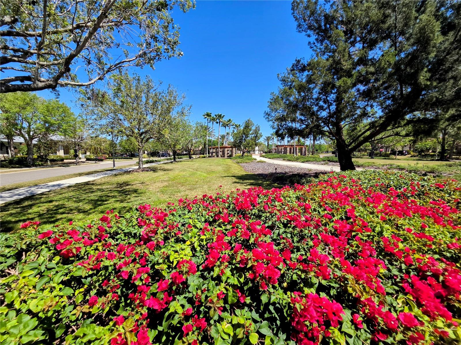 16108 CLEARLAKE AVE, LAKEWOOD RANCH, FL, 34202