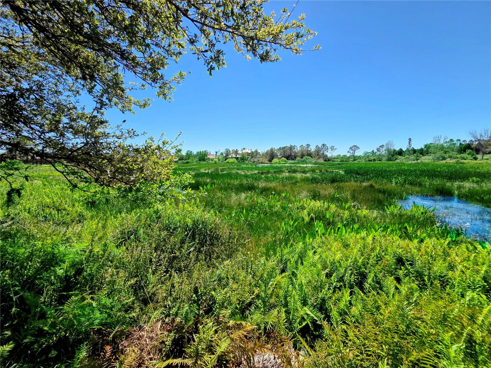 16108 CLEARLAKE AVE, LAKEWOOD RANCH, FL, 34202