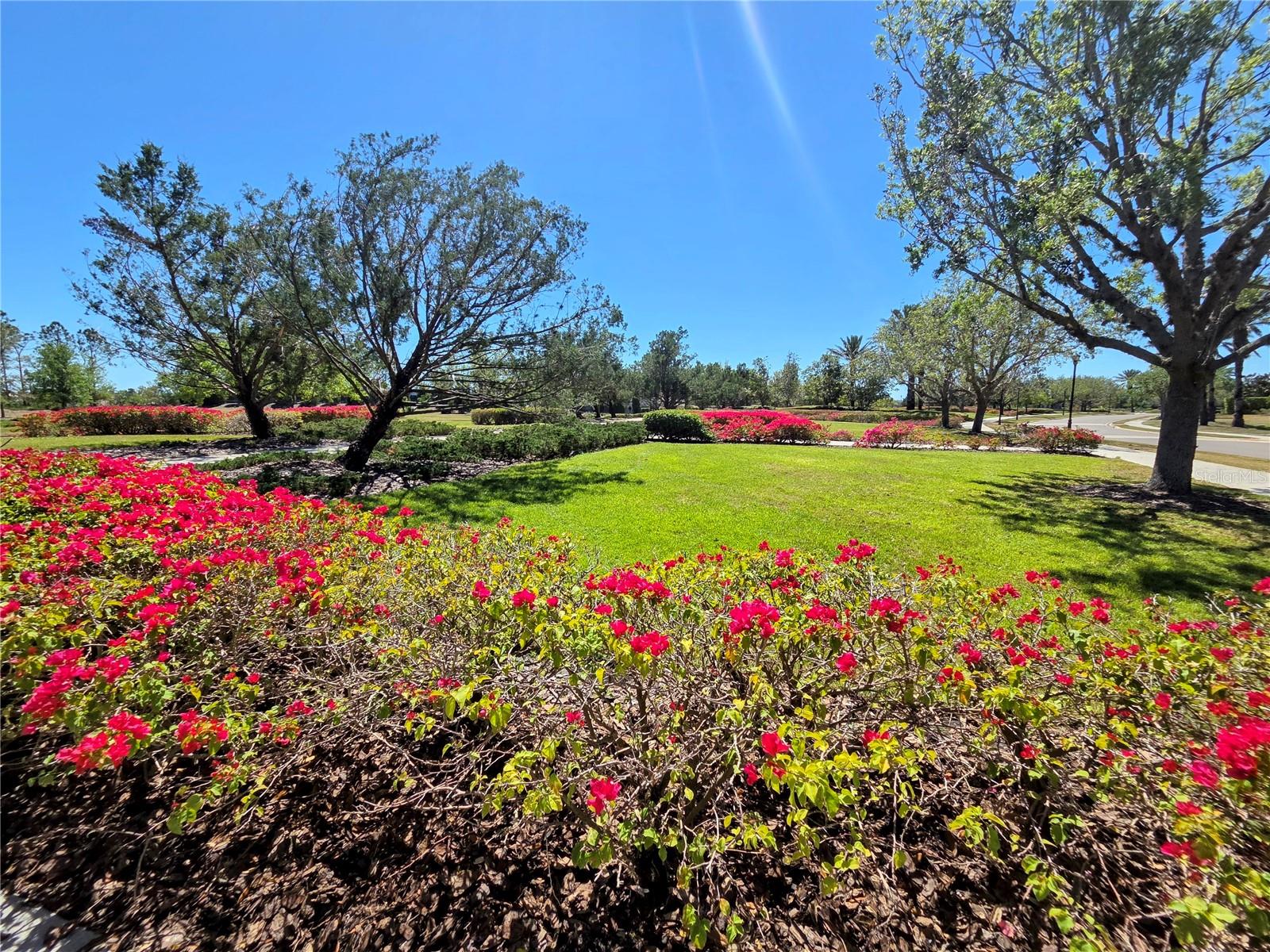 16108 CLEARLAKE AVE, LAKEWOOD RANCH, FL, 34202