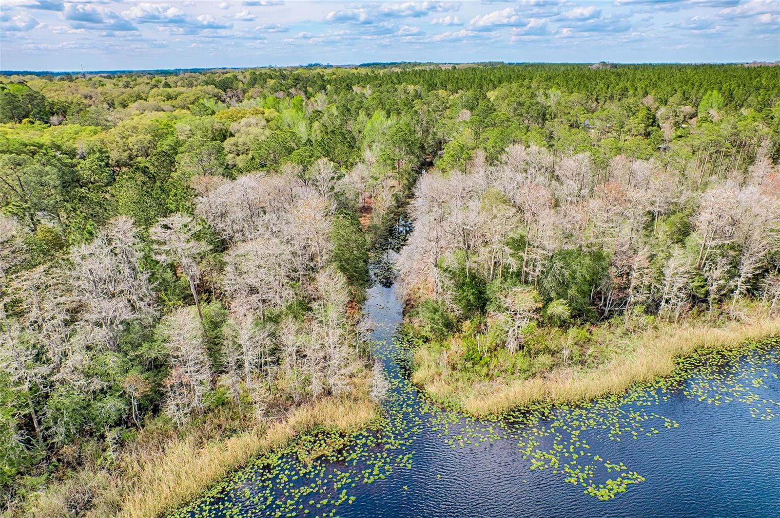 21401 NE 53RD AVE, EARLETON, FL, 32631