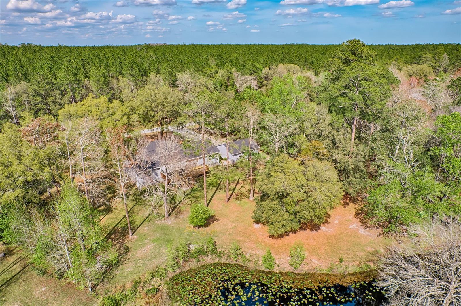 21401 NE 53RD AVE, EARLETON, FL, 32631