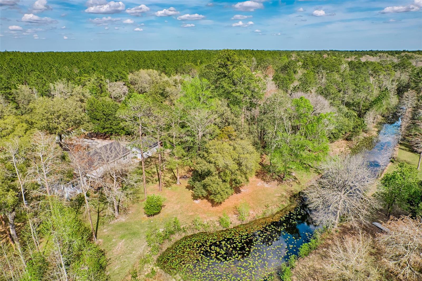 21401 NE 53RD AVE, EARLETON, FL, 32631