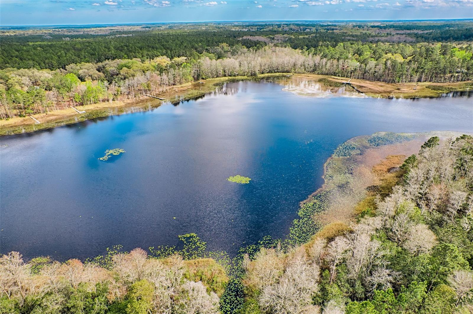 21401 NE 53RD AVE, EARLETON, FL, 32631