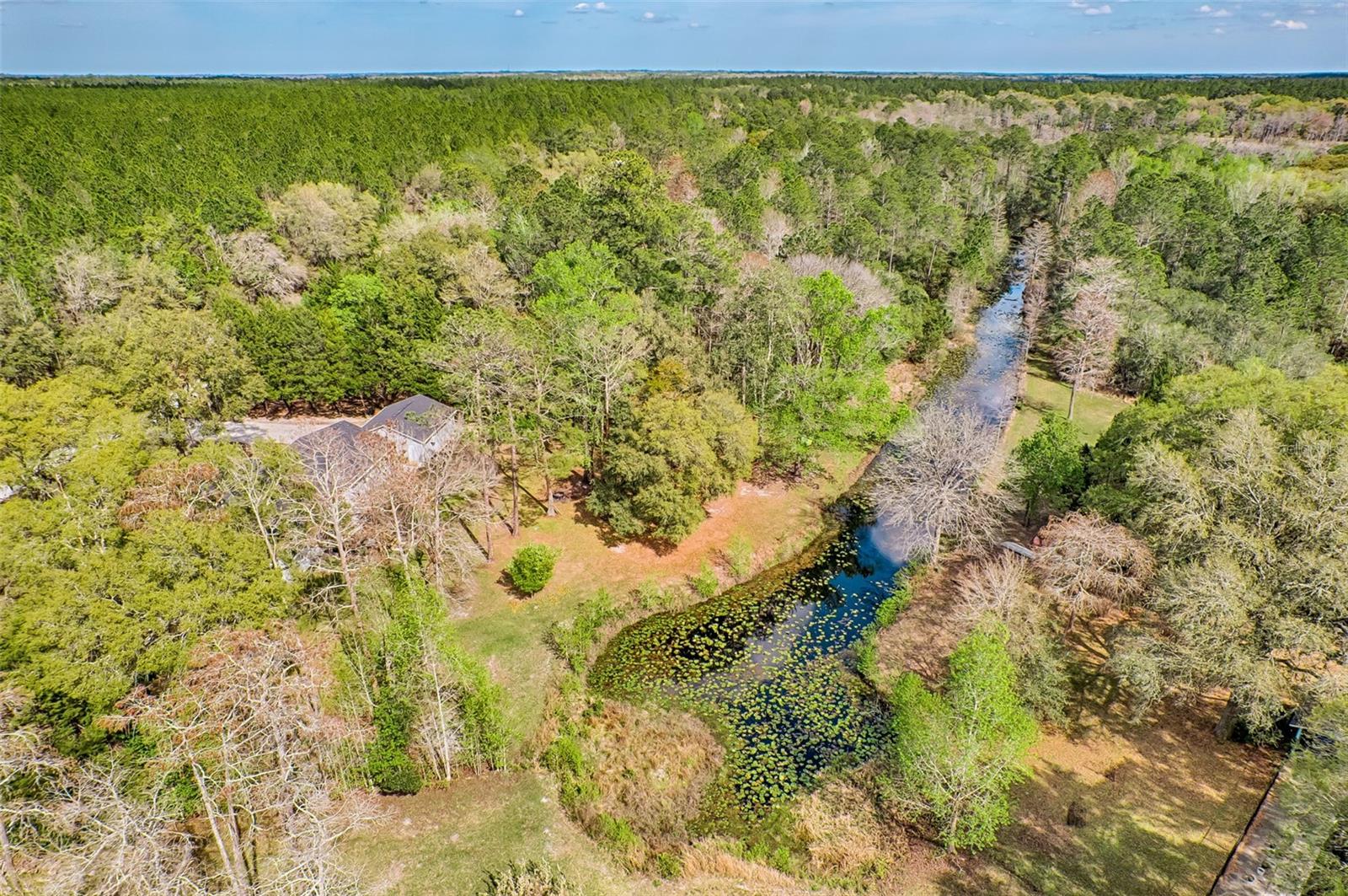 21401 NE 53RD AVE, EARLETON, FL, 32631