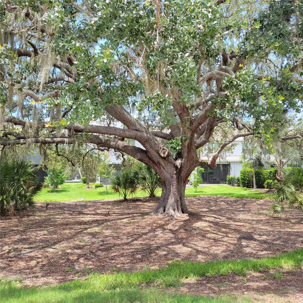 8640 STARGAZER STREET, SARASOTA, FL, 34238