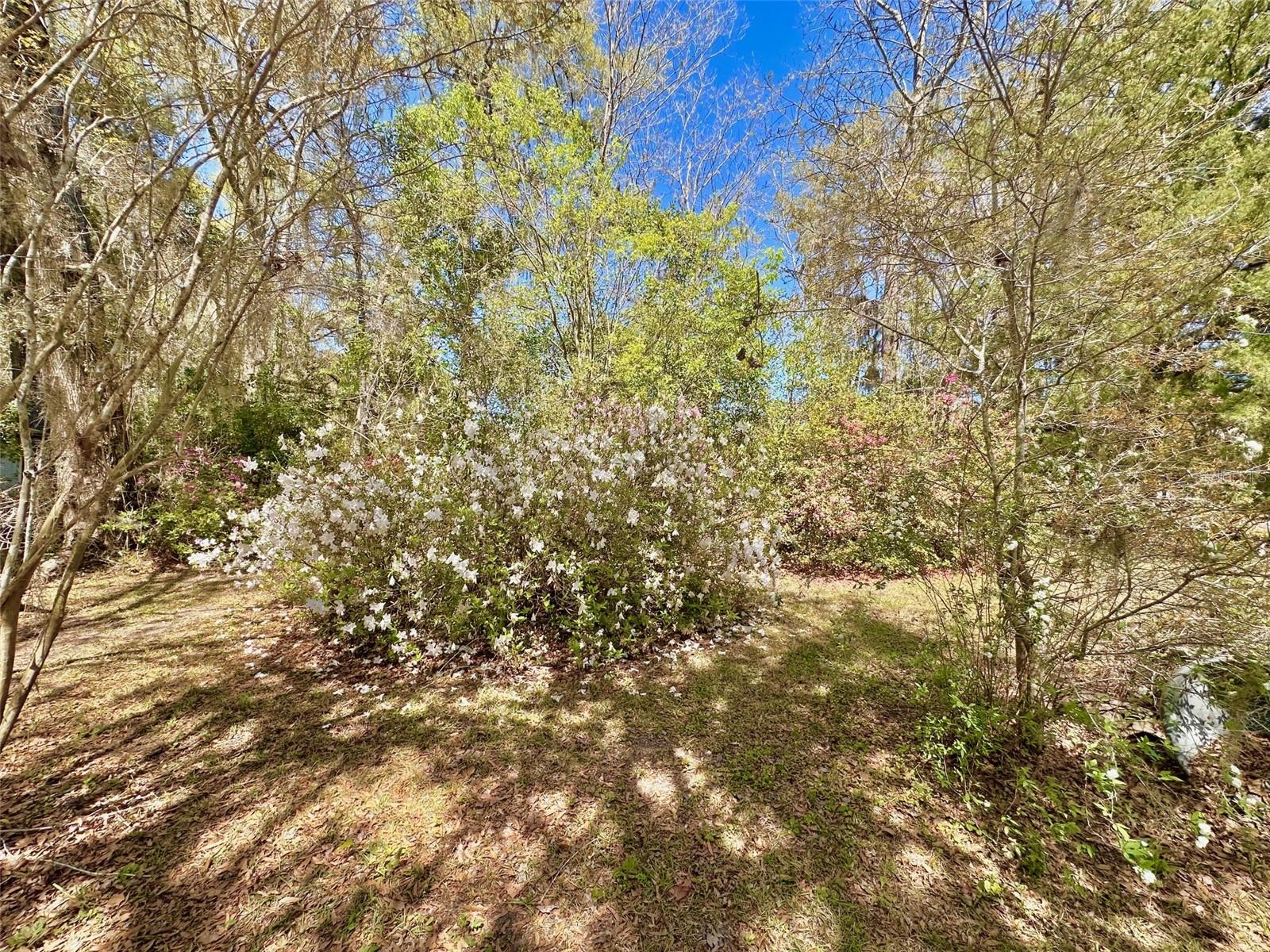 18012 NW 32ND AVE, NEWBERRY, FL, 32669