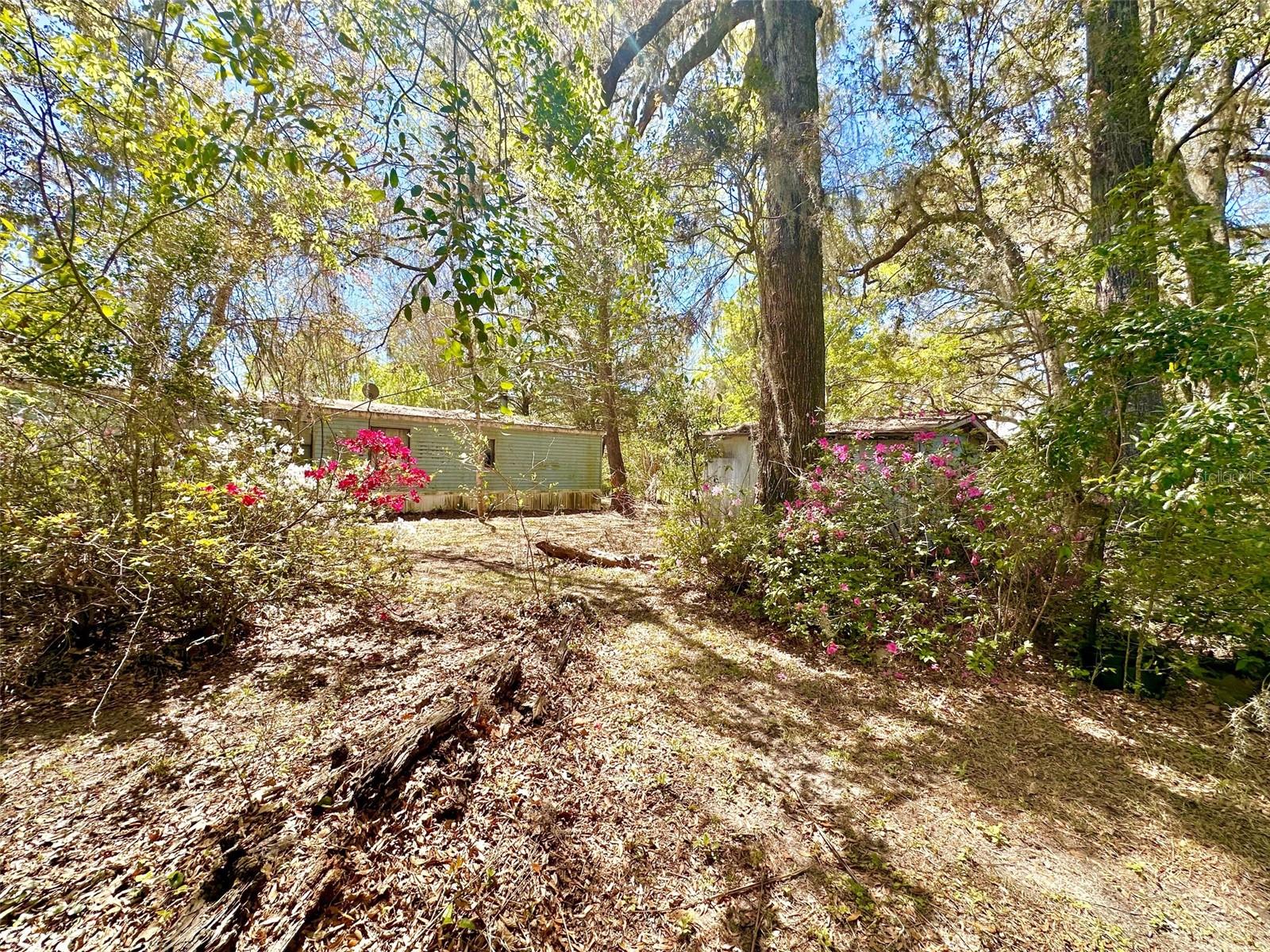 18012 NW 32ND AVE, NEWBERRY, FL, 32669
