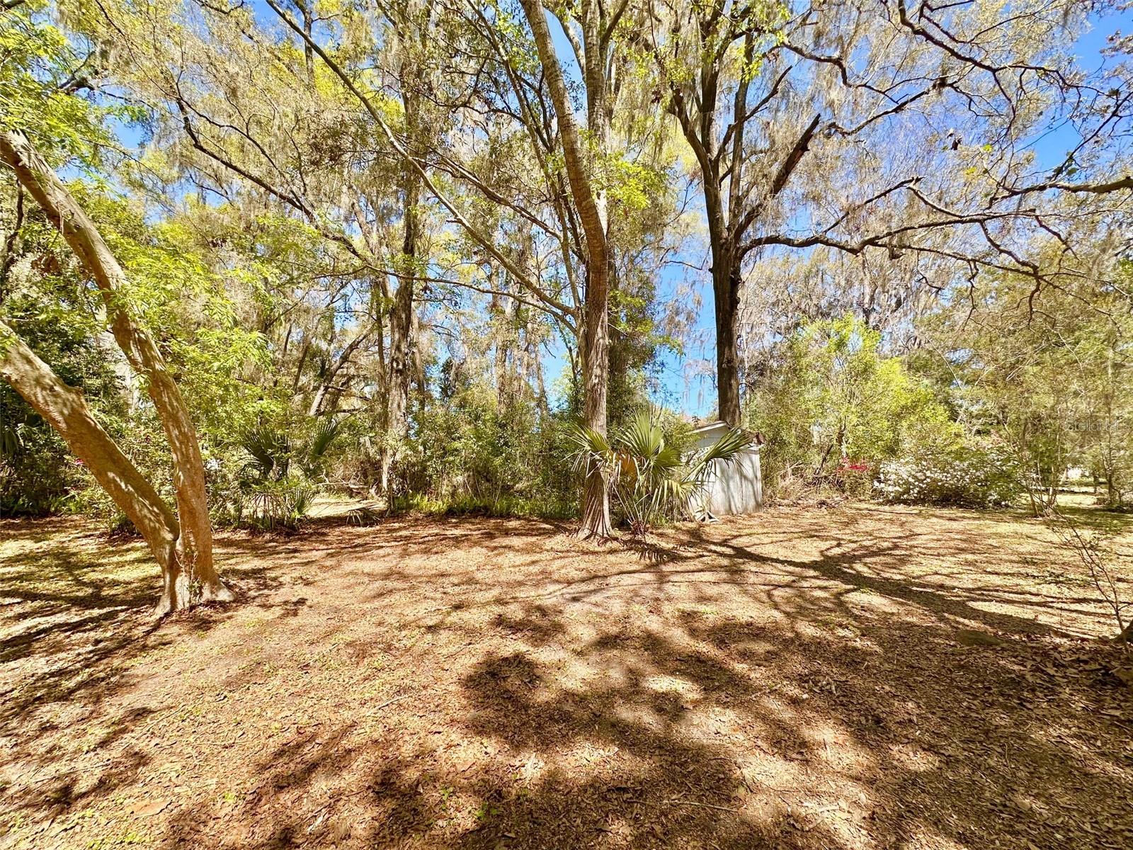 18012 NW 32ND AVE, NEWBERRY, FL, 32669