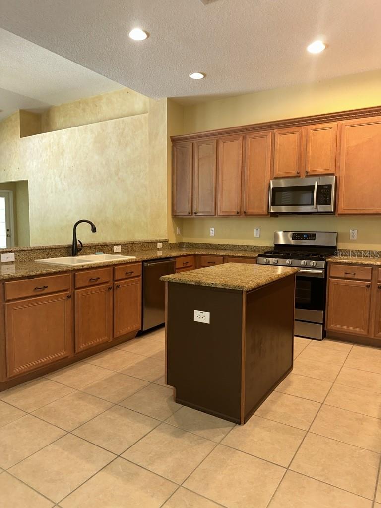 16132 IVY LAKE DR, ODESSA, FL, 33556
