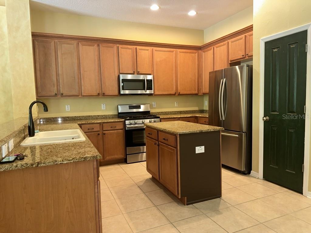 16132 IVY LAKE DR, ODESSA, FL, 33556