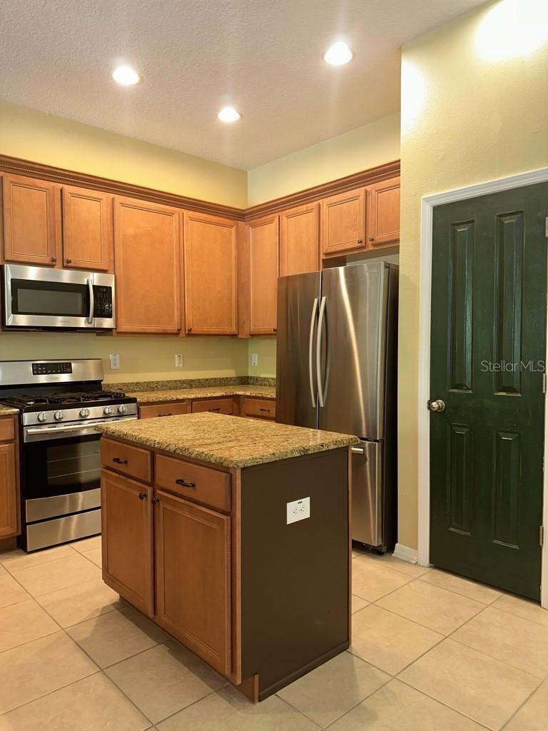 16132 IVY LAKE DR, ODESSA, FL, 33556