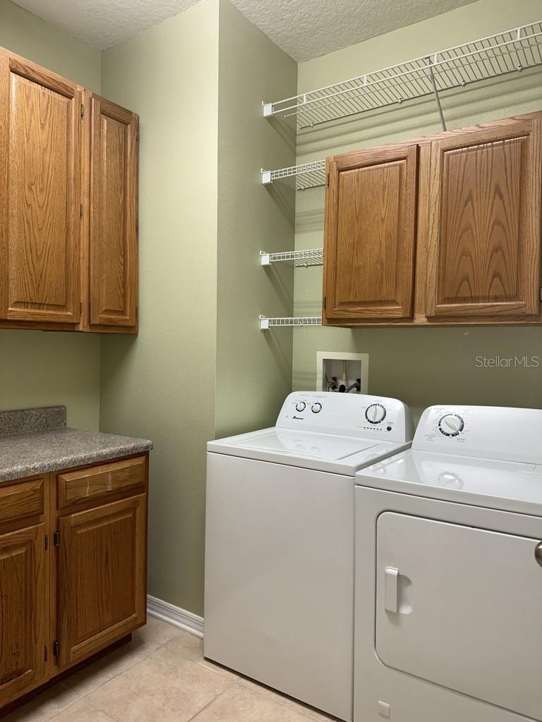 16132 IVY LAKE DR, ODESSA, FL, 33556