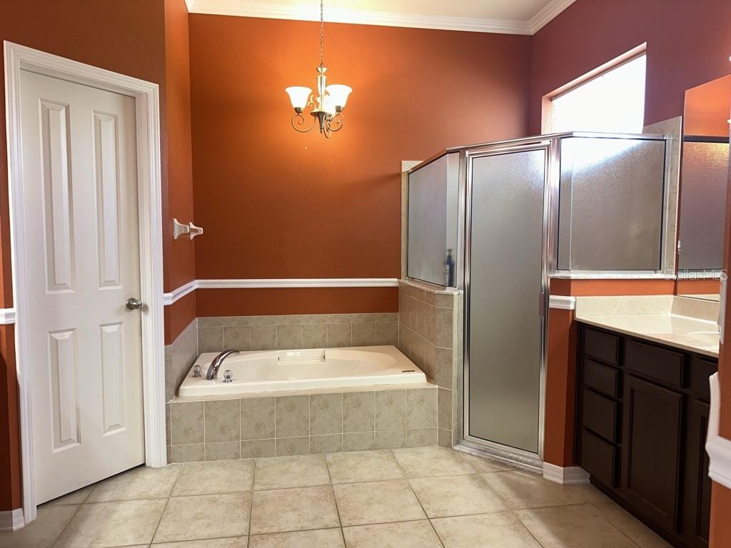 16132 IVY LAKE DR, ODESSA, FL, 33556