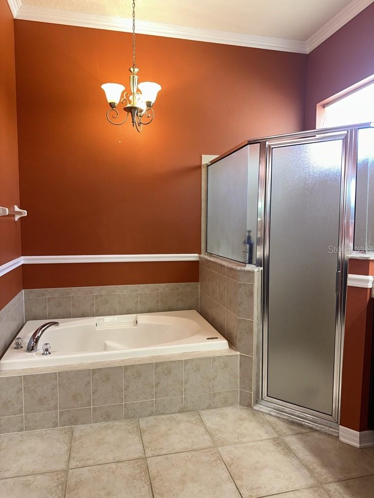 16132 IVY LAKE DR, ODESSA, FL, 33556