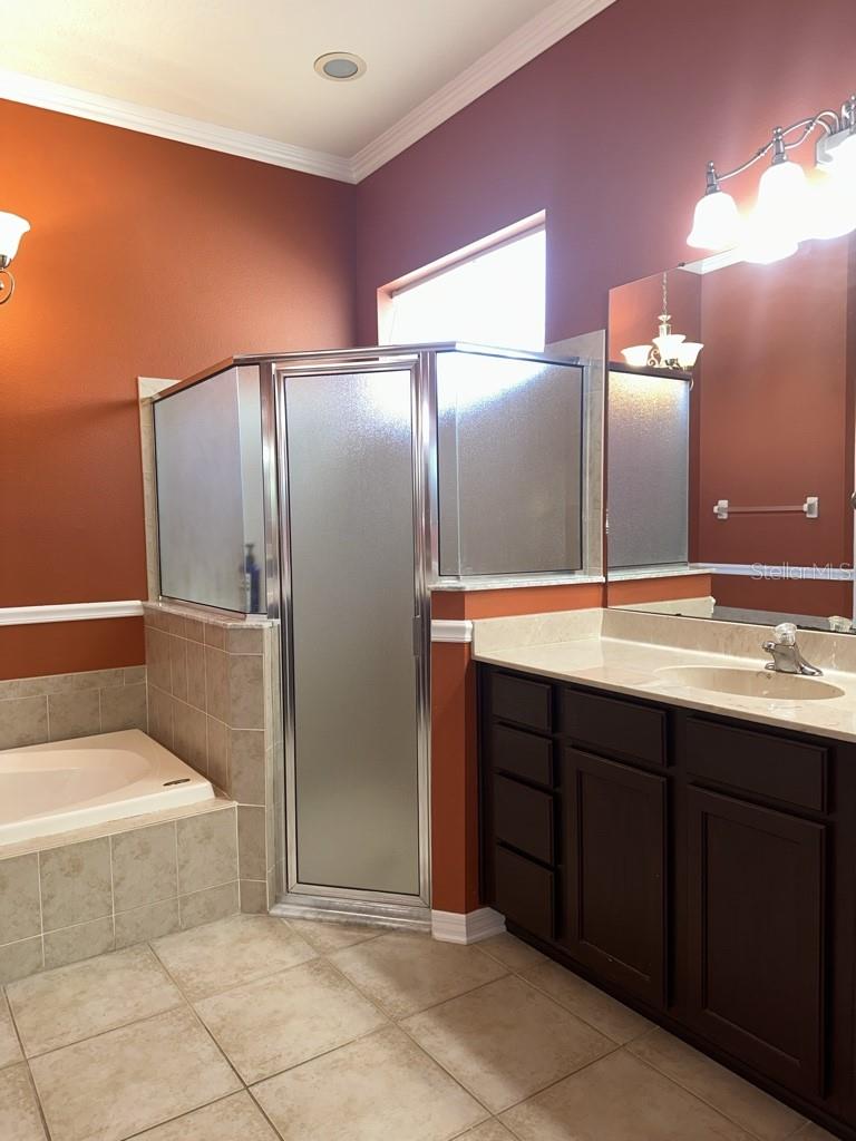 16132 IVY LAKE DR, ODESSA, FL, 33556