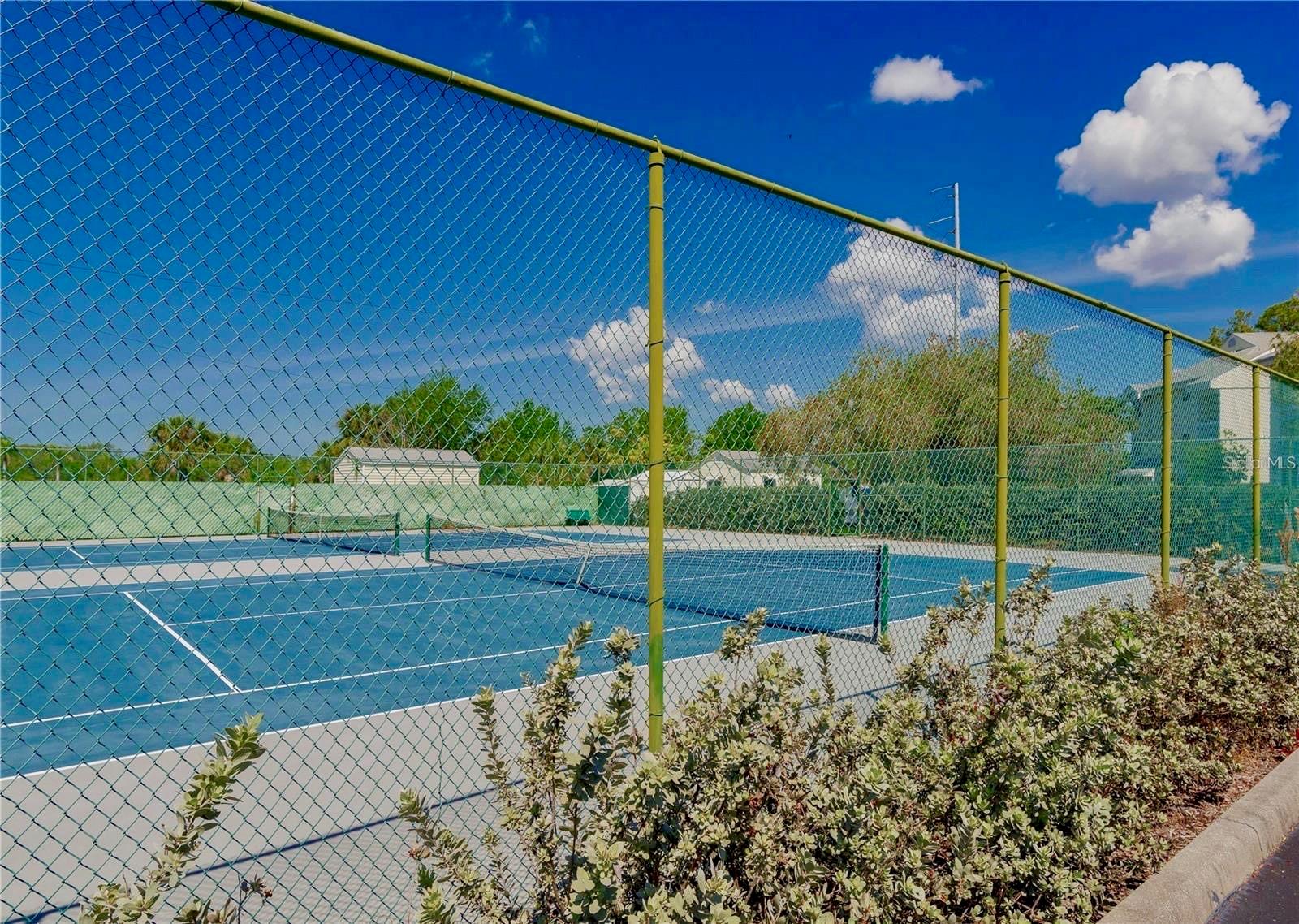6923 STONES THROW CIR N #4205, ST PETERSBURG, FL, 33710