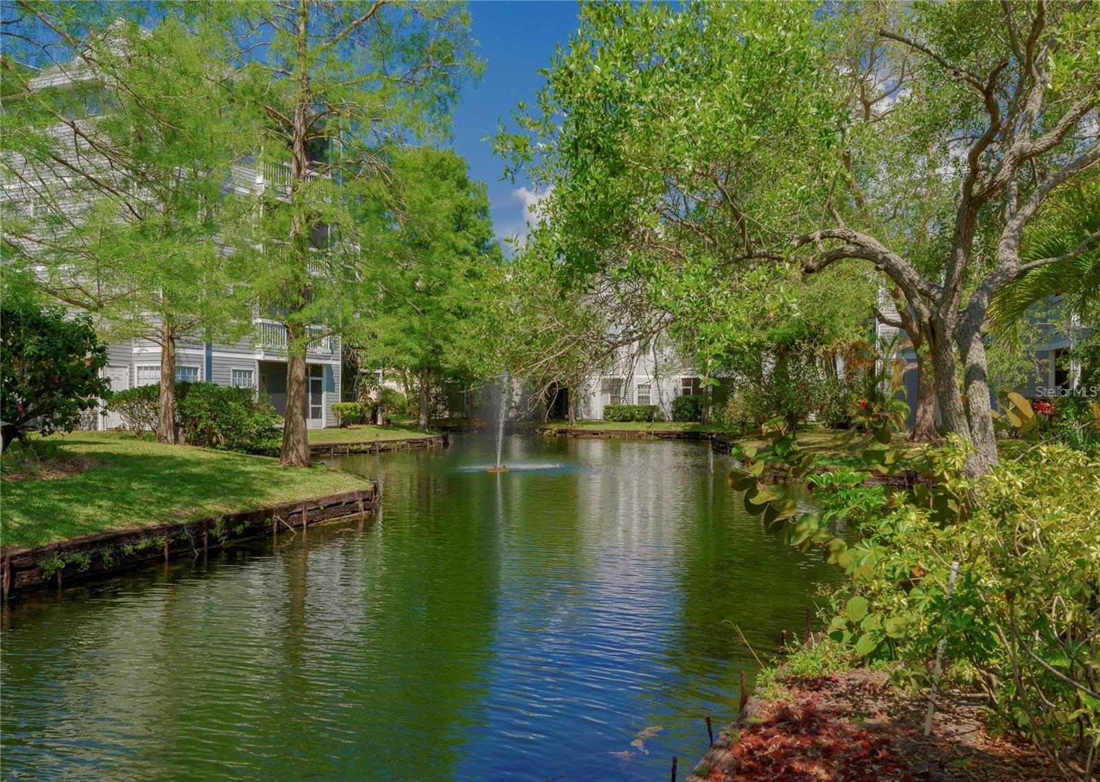 6923 STONES THROW CIR N #4205, ST PETERSBURG, FL, 33710