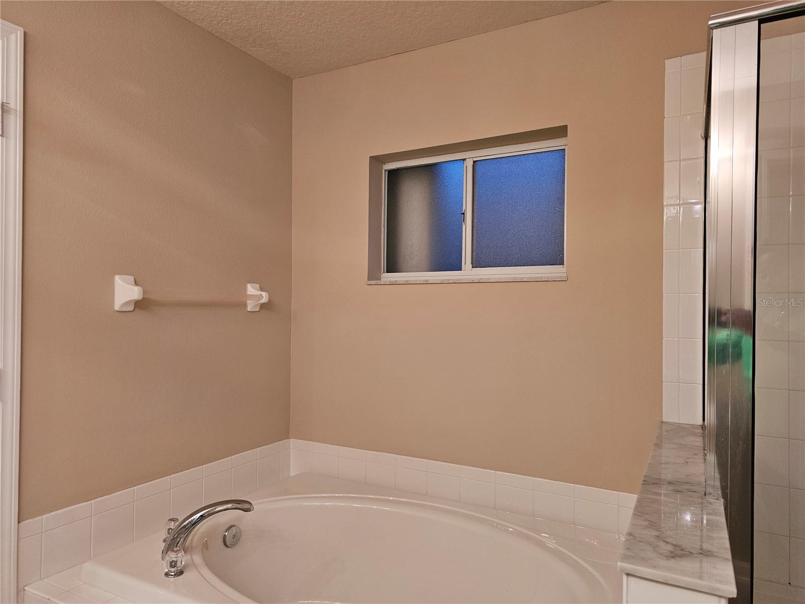 11647 TROPICAL ISLE LN, RIVERVIEW, FL, 33579