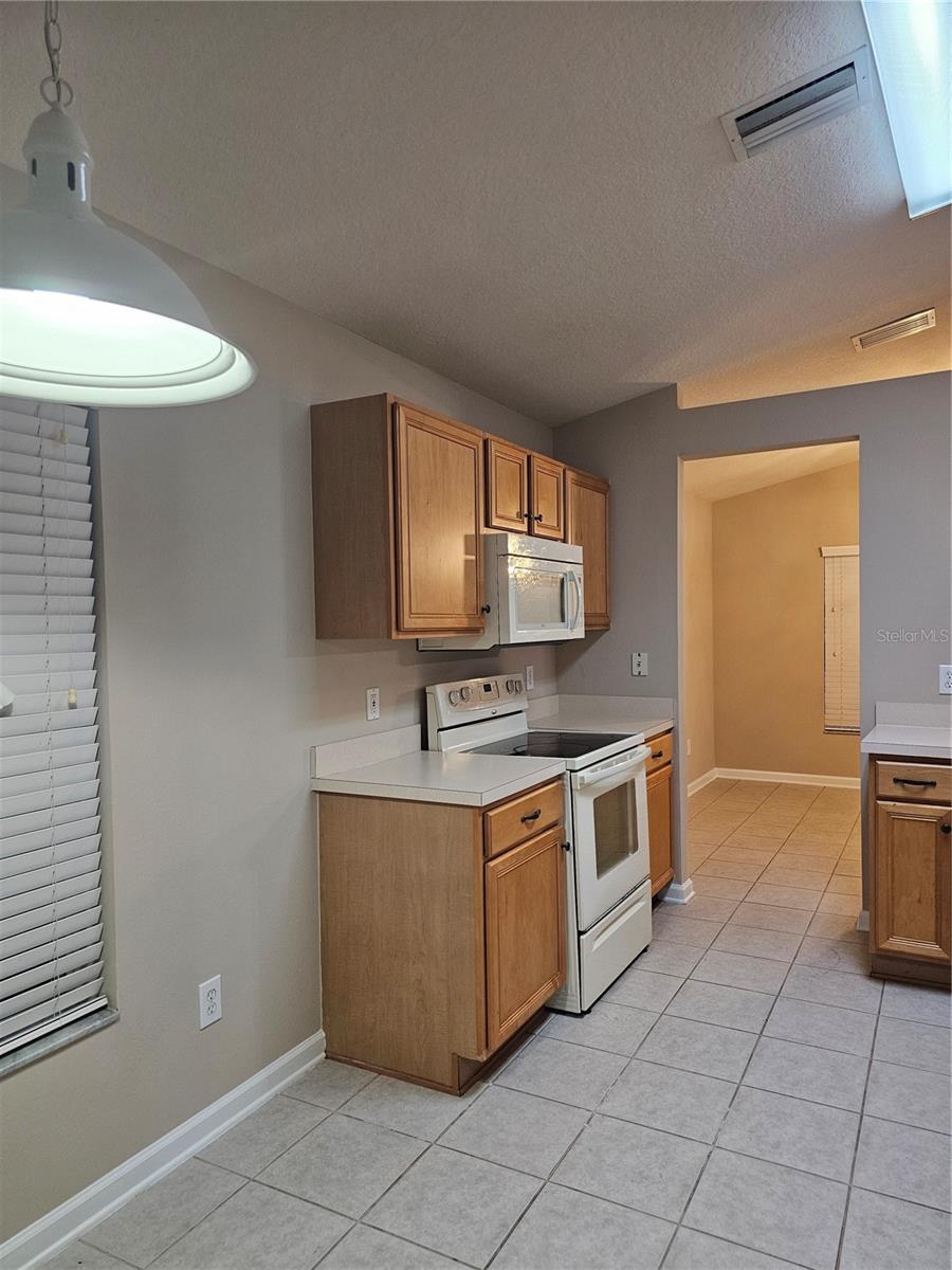 11647 TROPICAL ISLE LN, RIVERVIEW, FL, 33579