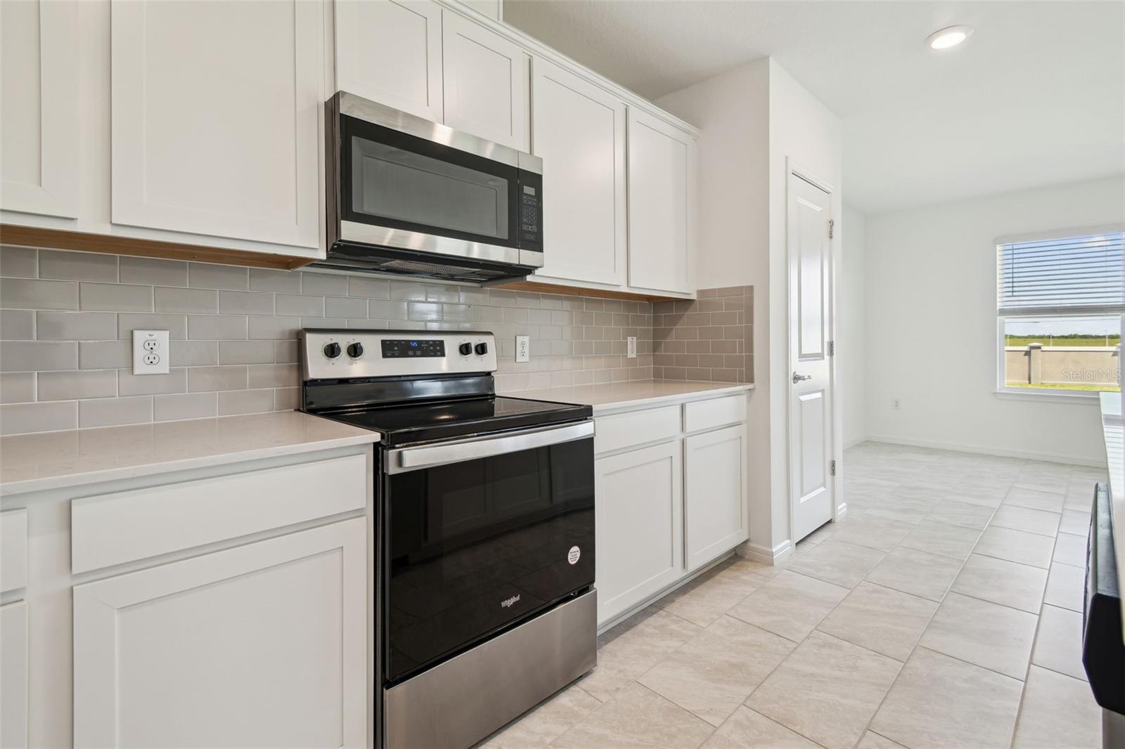 9058 RALLY SPRING LOOP, WESLEY CHAPEL, FL, 33545