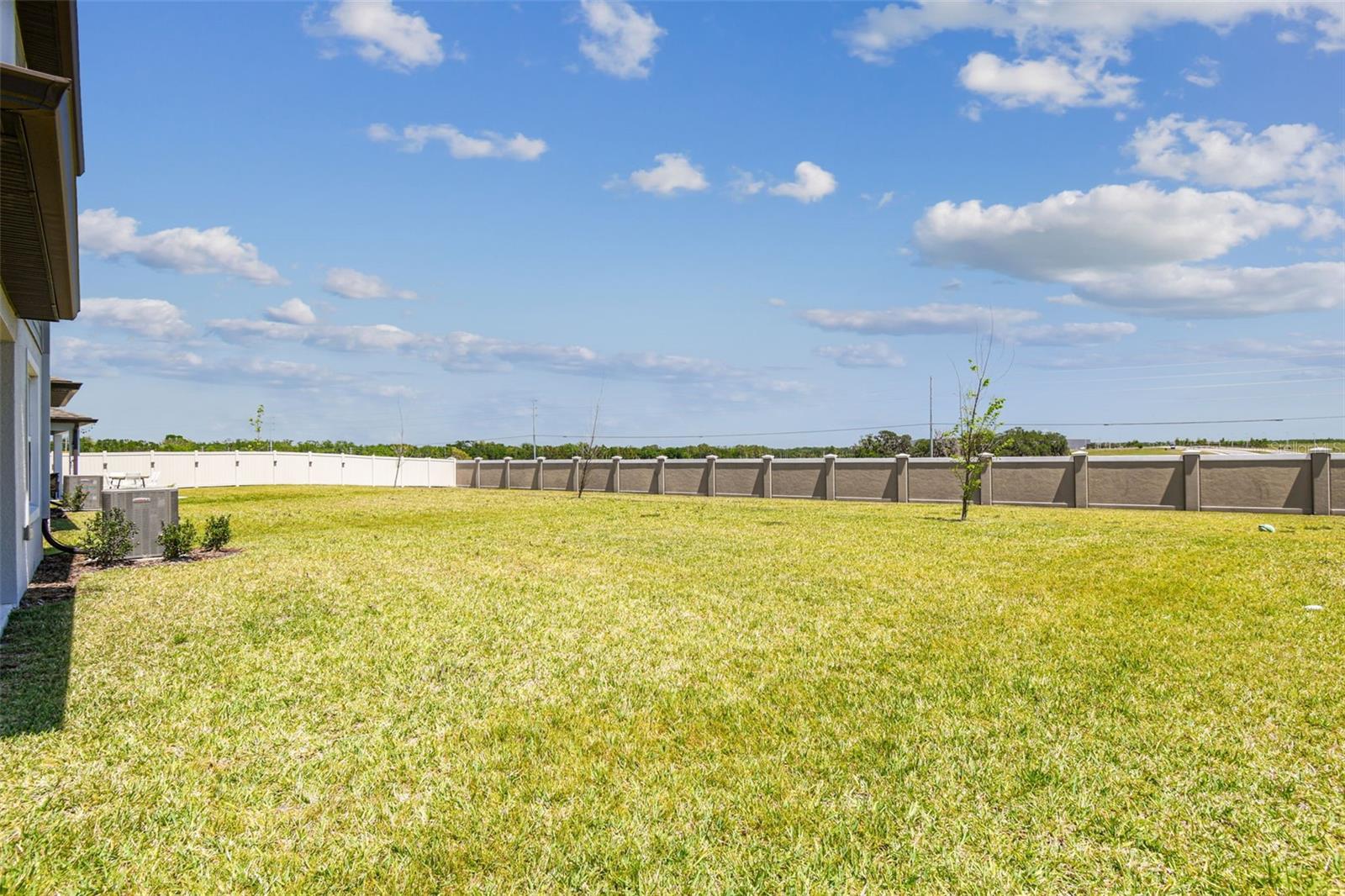9058 RALLY SPRING LOOP, WESLEY CHAPEL, FL, 33545