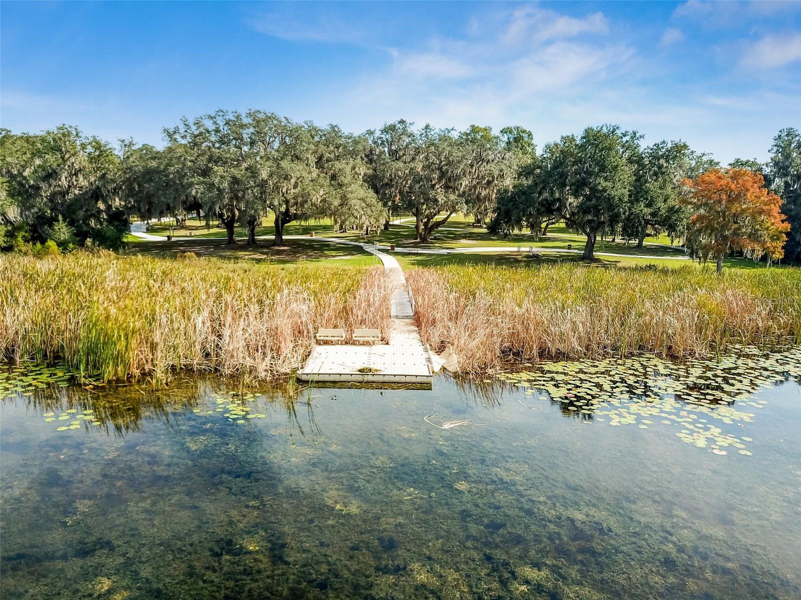 9058 RALLY SPRING LOOP, WESLEY CHAPEL, FL, 33545