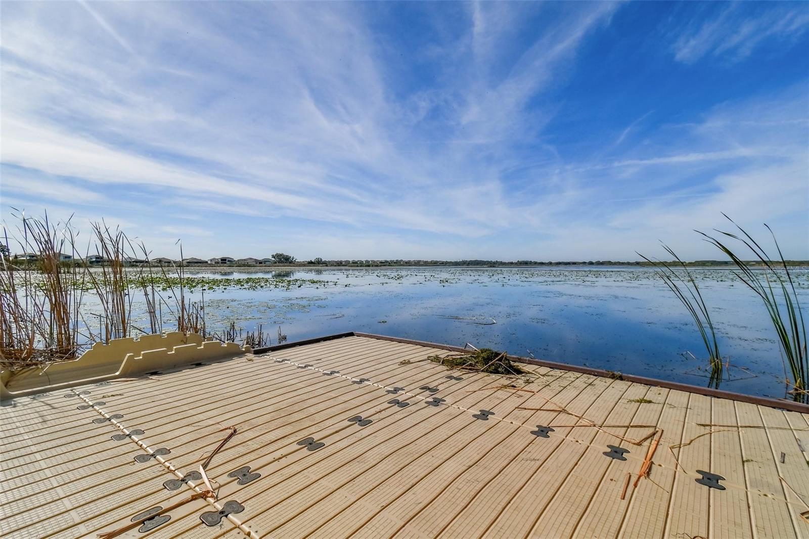 9058 RALLY SPRING LOOP, WESLEY CHAPEL, FL, 33545