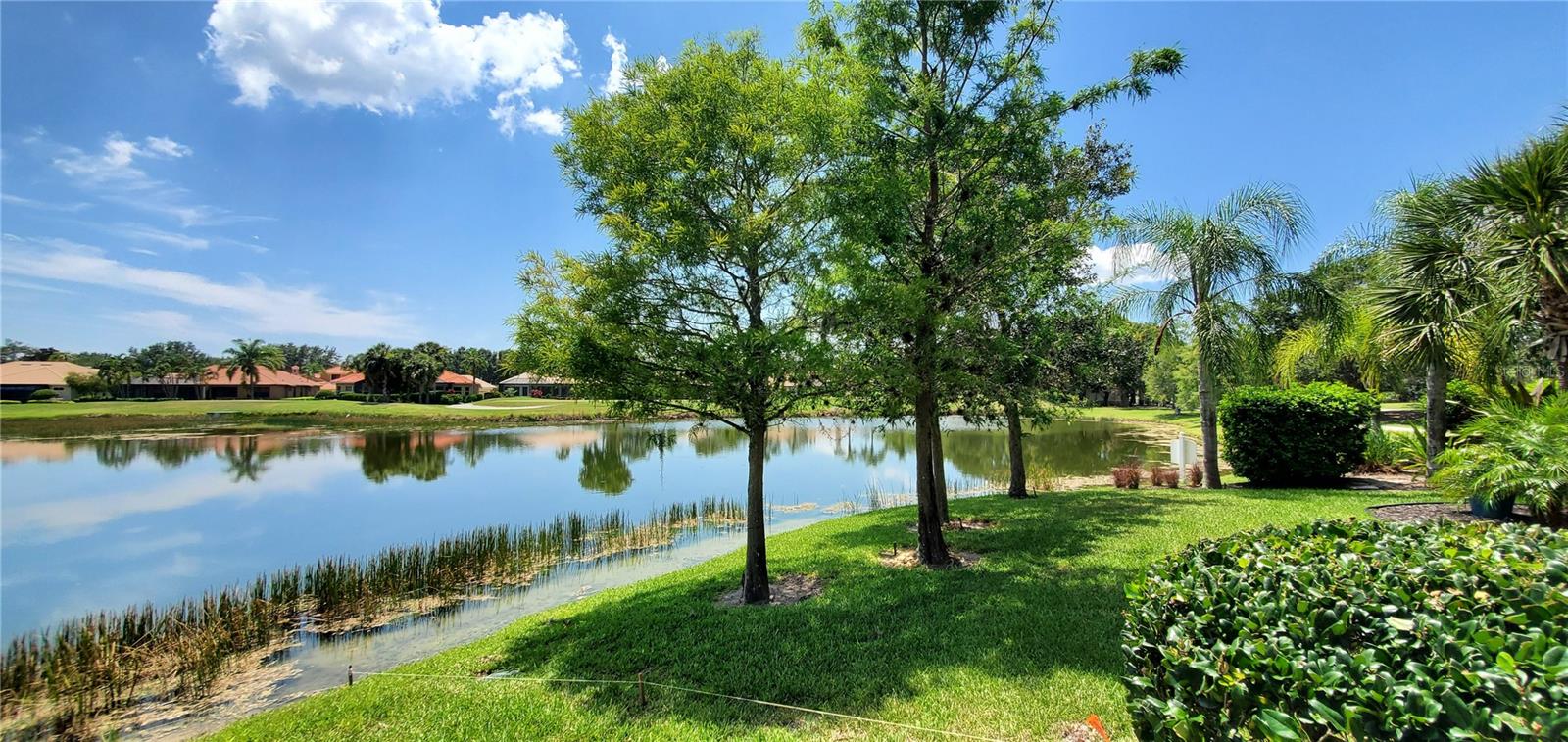 8106 MIRAMAR WAY, LAKEWOOD RANCH, FL, 34202