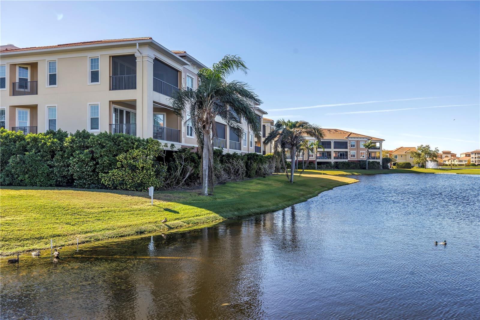 6 FRANKLIN CT S #43A, ST PETERSBURG, FL, 33711