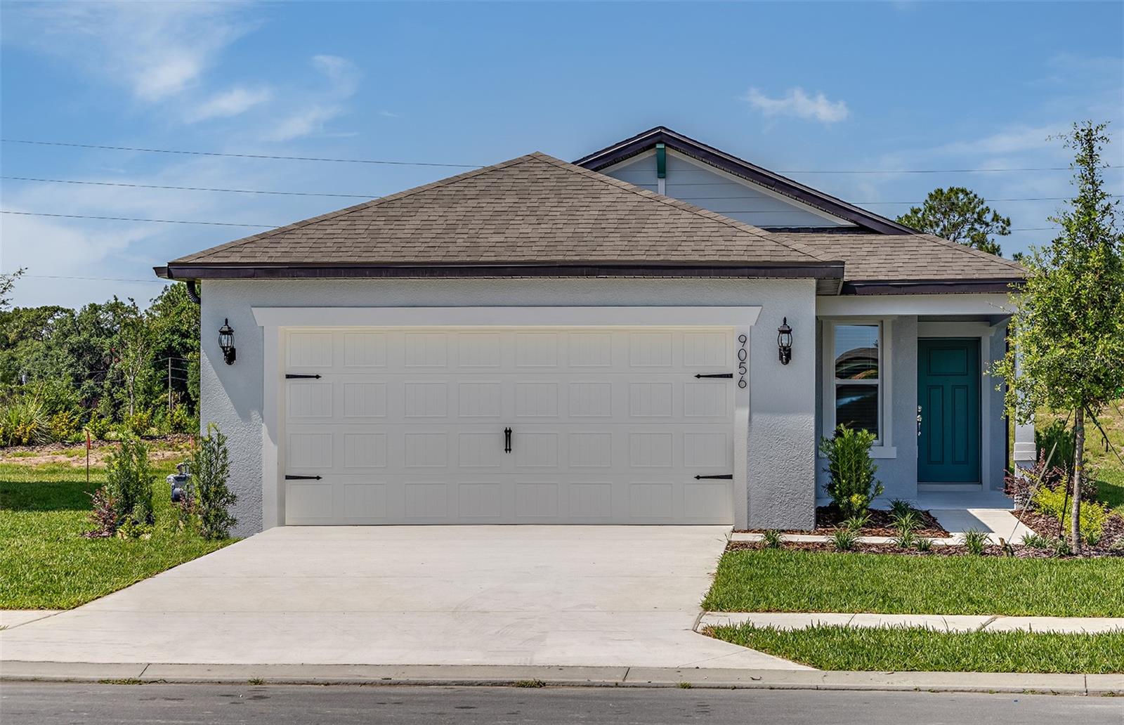 9056 WILDLIGHT TRL, WILDWOOD, FL, 34785