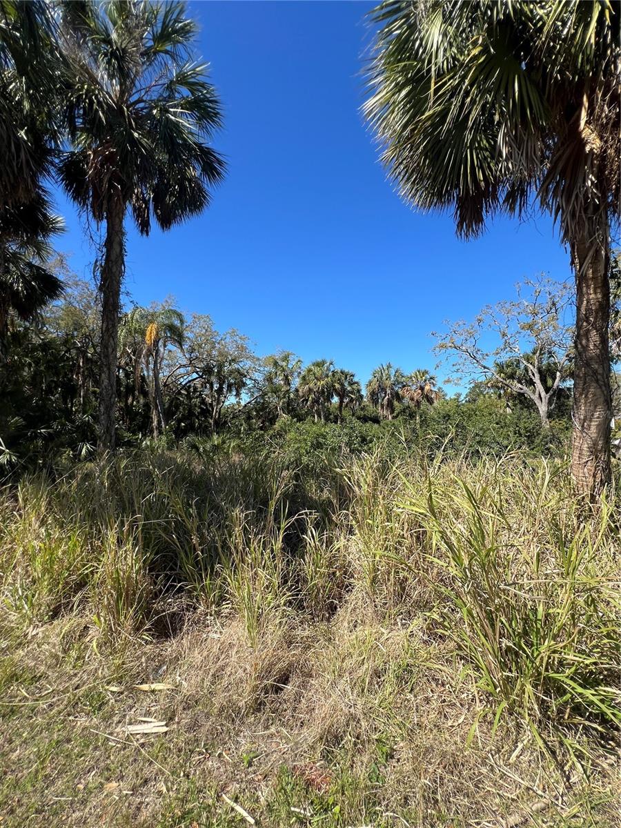BETTY STREET, PORT RICHEY, FL, 34668