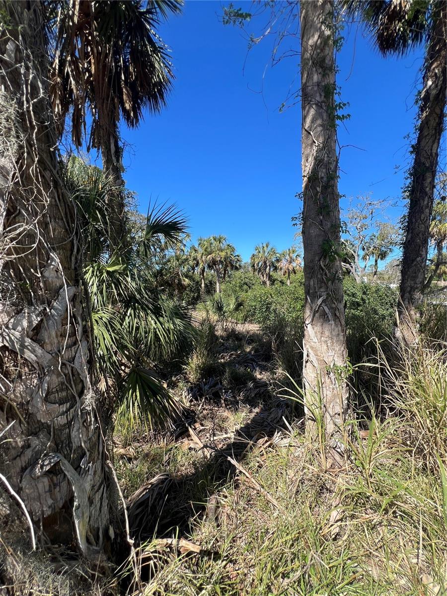 BETTY STREET, PORT RICHEY, FL, 34668