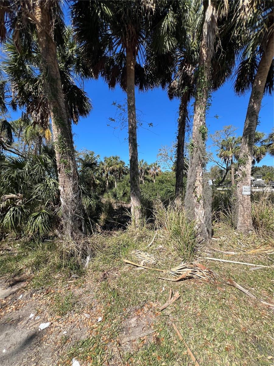 BETTY STREET, PORT RICHEY, FL, 34668