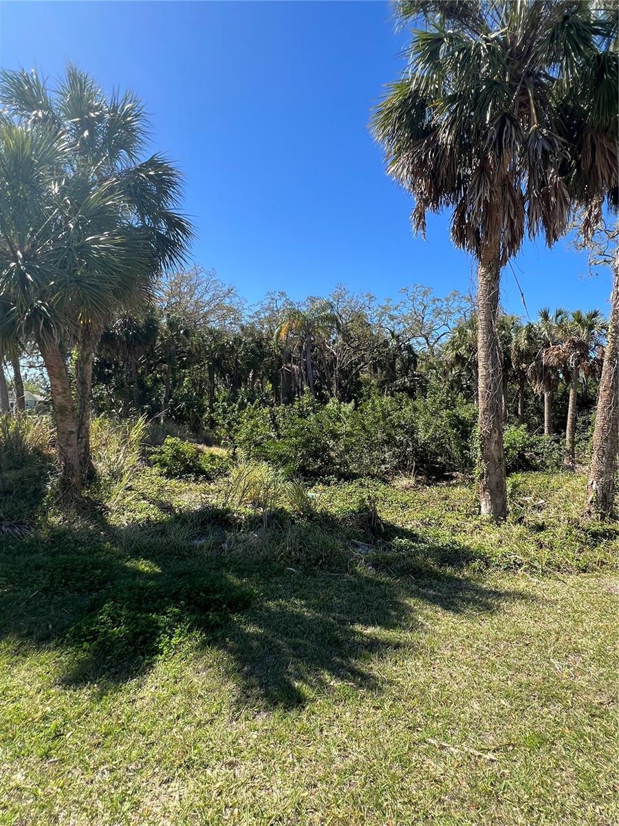 BETTY STREET, PORT RICHEY, FL, 34668